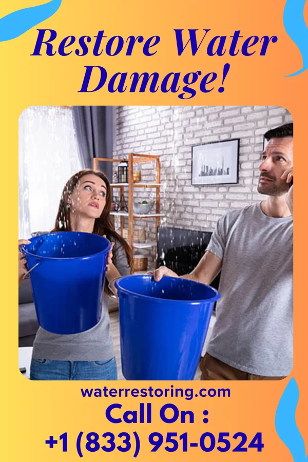 water restoration Shield Water Solutions LLC Pine City