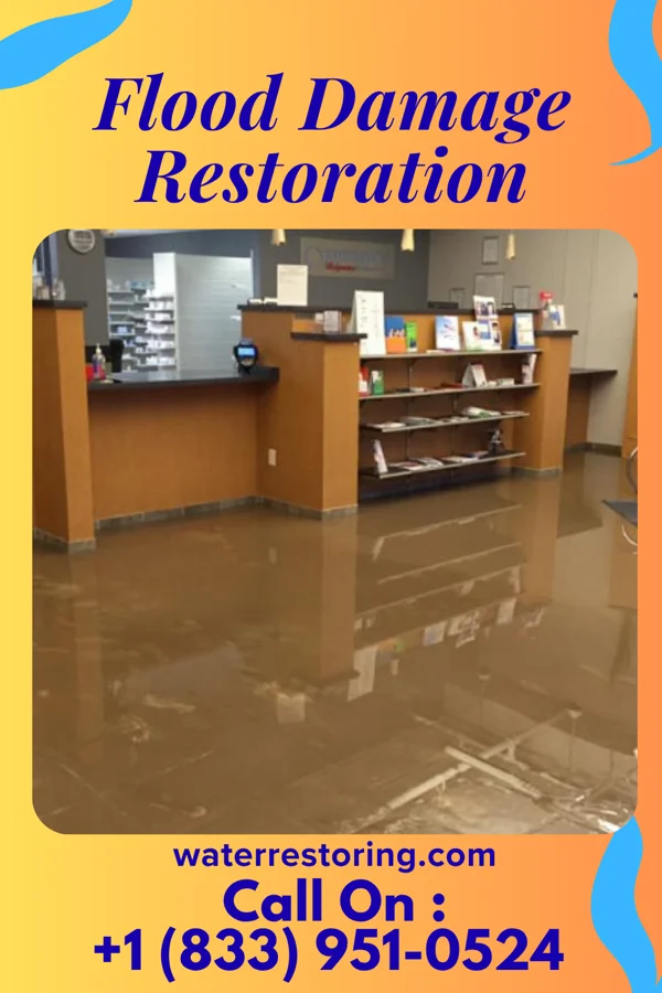 Flood Damage Restoration in Pine City, MN