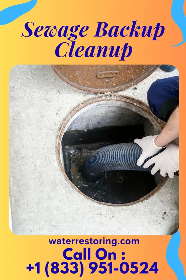 Sewage Backup Cleanup in Pine City, MN