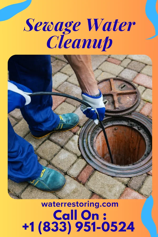 Sewage Water Cleanup in Pine City, MN