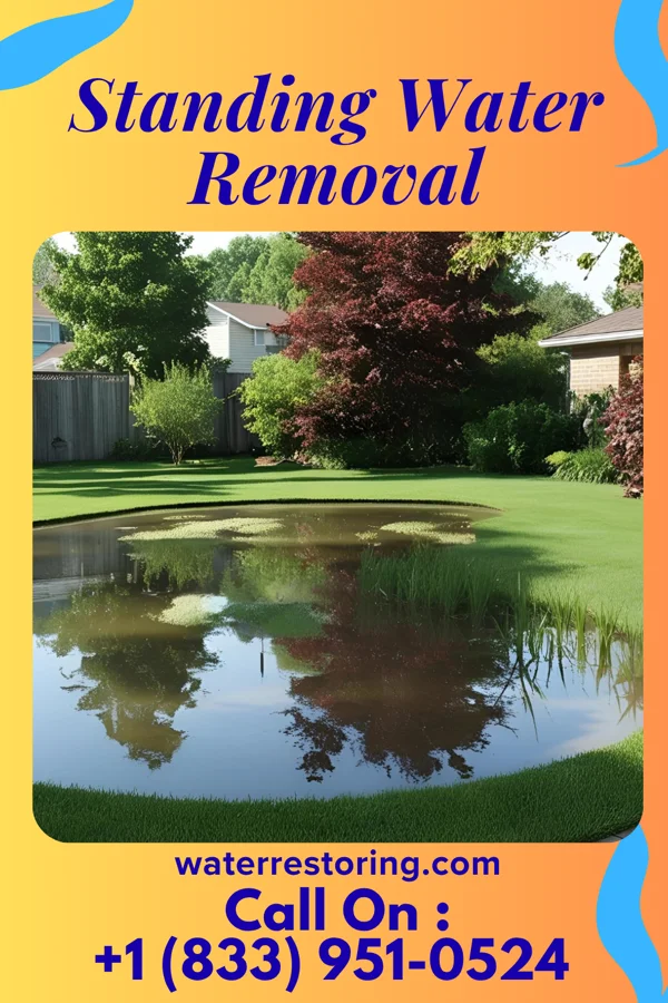 Standing Water Removal in Pine City, MN